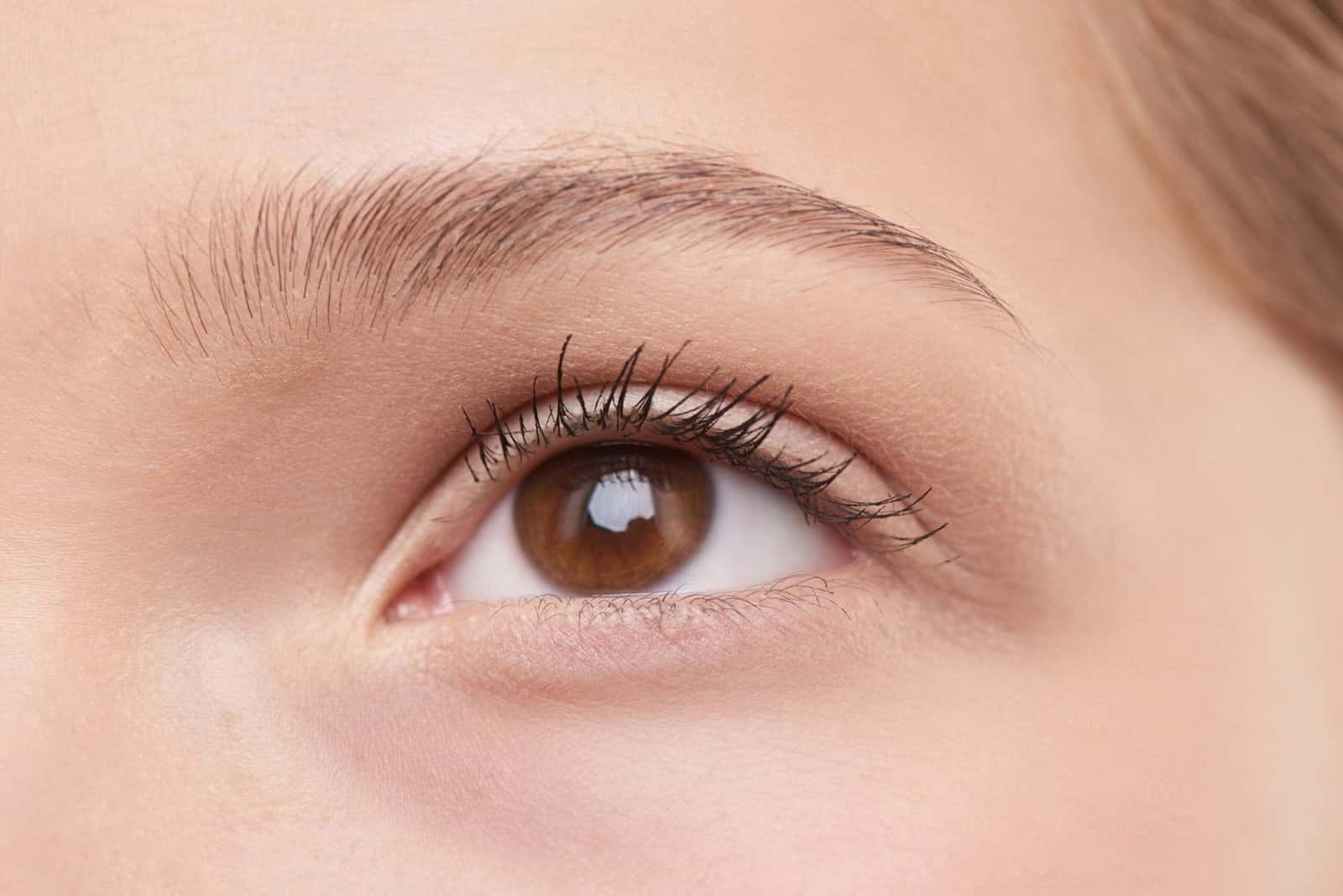 A close up of a woman's open brown eye with long lashes and a soft brow